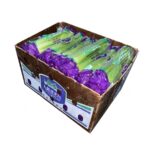 Apio 30x1LB / Celery Sleeved 30x1LB