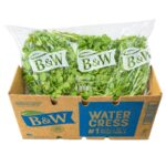 Berro 2x1.5LB / Watercress Pillow 2x1.5LB