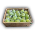 Chayote 38LB / Chayote 38LB