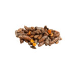 Curcuma 1LB / Turmeric 1LB