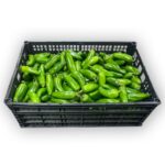 Jalapeno 30LB