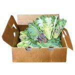Kale Oriental 24ct