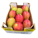 Mango 7/9/11 ct