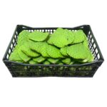 Nopal 37LB / Nopal Cactus Leaf 37LB