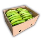 Platano Verde 50LBS / Plantain Green 50LB