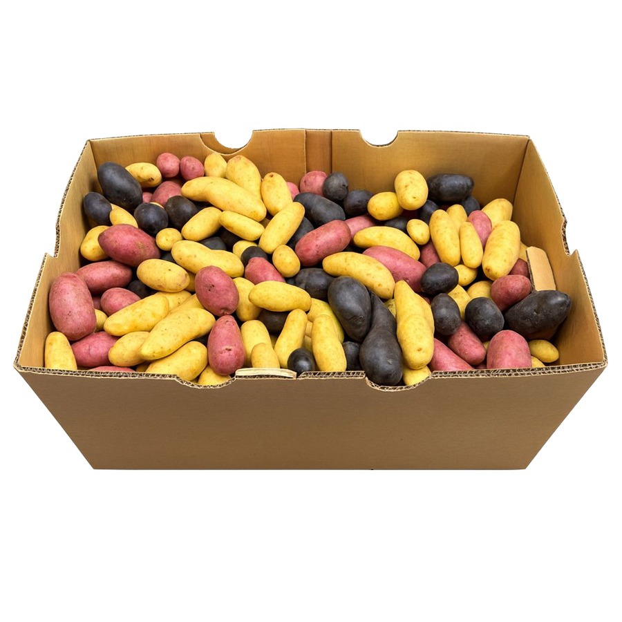 Papa Finger Mix 50LB / Potato Fingerling Mix 50LB