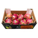 Pitaya Caja / Dragon Fruit Case
