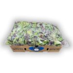 Spring Mix 3LB