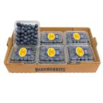 Blueberry 12x6oz