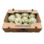 Coliflor 12/16ct / Cauliflower 12/16ct