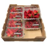 Fresa 8x1LB / Strawberry 8x1LB