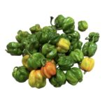 Habanero Mix Bolsa 2LB / Mix Habanero Pepper Bag 2LB