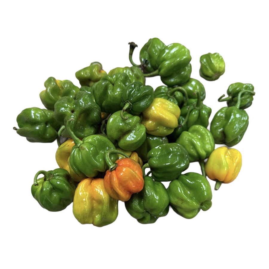 Habanero Mix Bolsa 2LB / Mix Habanero Pepper Bag 2LB