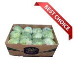 Lechuga Iceberg 24/30ct / Lettuce Iceberg 24/30ct