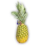 Pina Unidad / Pineapple ea