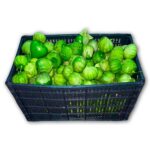 Tomatillo 30LB