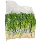 Cebollino Bolsa 24ct / Green Onion 24ct