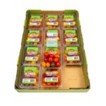 Tomate Baby Heirloom 12×1/Baby Heirloom Tomato 12×1