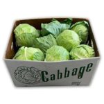 Col Verde 12/16ct / Cabbage Green 12/16ct
