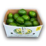 Aguacate Florida 50 LB / Florida Avocado 50 LB