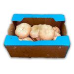 Hongo Portobello / Mushroom Portobello 5LB