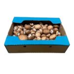 Hongo Crimini 5LB/ Mushroom Crimini 5LB