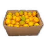Naranja Florida (para jugo) 30LB/ Orange (for juice) 30LB