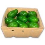 Aguacate Dominicano 16/18 ct / Dominican Avocado 16/18 ct