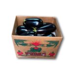 Berenjena Caja 25LB/ Eggplant 25LB