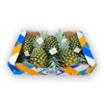 Pina Caja 5u / Pineapple 5ct