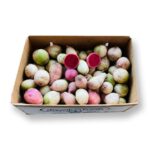 Rabano Sandia 10LB / Radish Watermelon 10LB