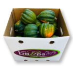 Calabaza Acorn 30LB / Squash Acorn 30LB