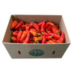 Aji Fresno 10LB / Fresno Pepper 10LB